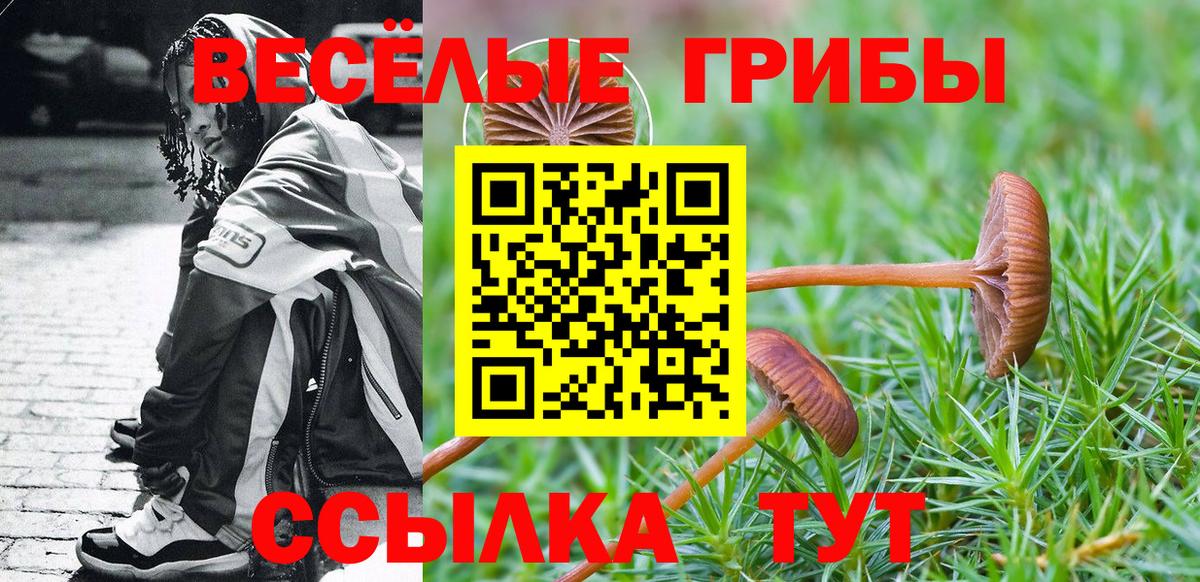 Галлюциногенные грибы прущие грибы Калининград