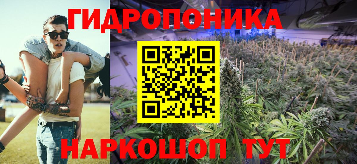 Бошки Шишки SATIVA & INDICA  МАРИХУАНА VHQ  Каннабис конопля  Вход с VPN  Калининград 